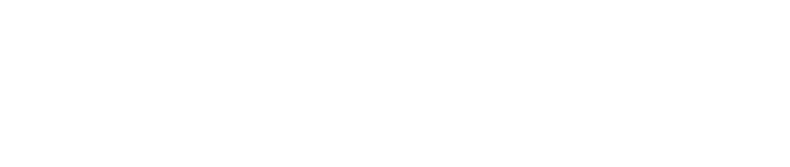 我们的优势